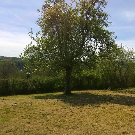 La Ferme Blanche Menil-Vin